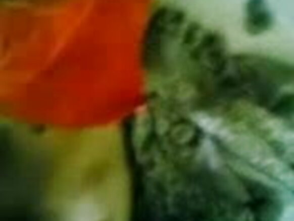 Mpenzi wa Linda anaonyesha tits na pussy kwenye nyumba ya wakwe zake - jp sexy film man spread