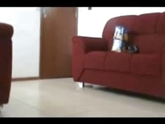 Filamu ya buluu ya Kihindi ya Marekani ya chica ya kuvutia ikimuonyesha mtumishi wake punda wake