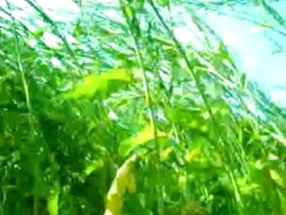 wanandoa katika jungle sexy movie hindi