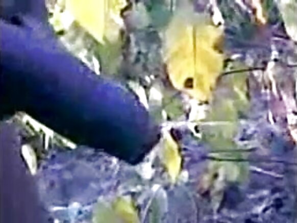 telugu randi hindi full sexy movie selva telugu ngono ngono